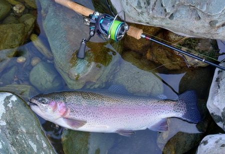 なんとか６０オーバーをキャッチ